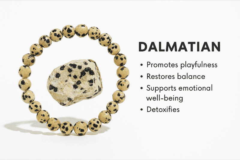 Dalmatian Jasper Crystal Bracelet 6
