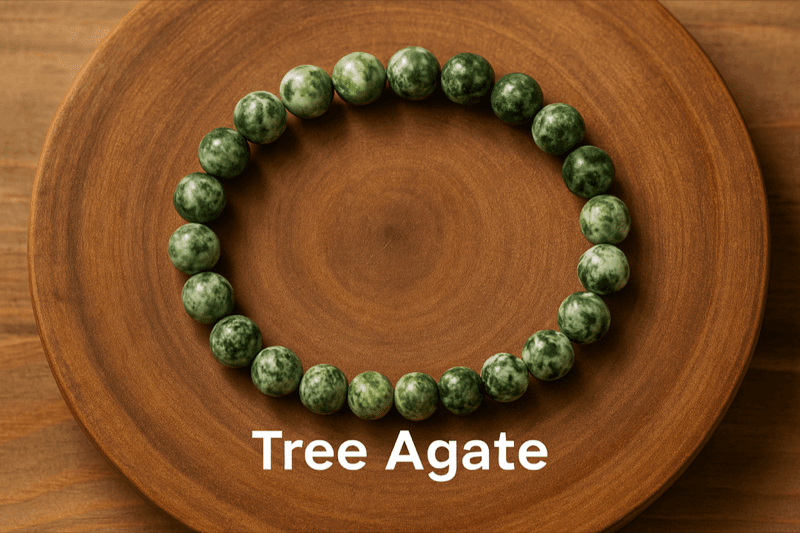 Tree Agate Crystal Bracelet 4